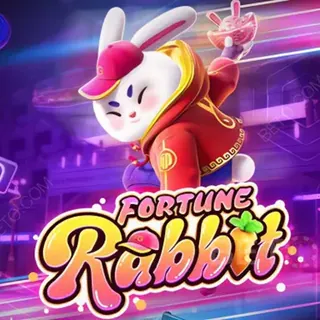 Fortune Rabbit